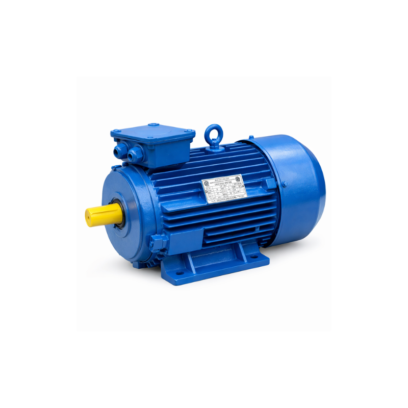 Motor 3HP Heavy Duty